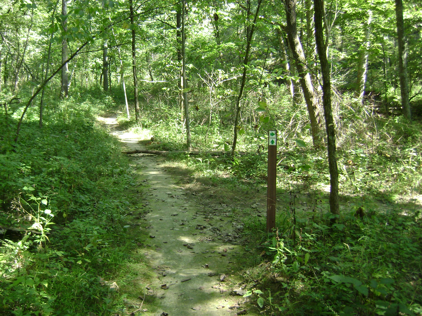 Park Trails Missouri State Parks